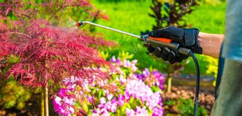 Best Bug Control Gun Reviews - Home & Garden