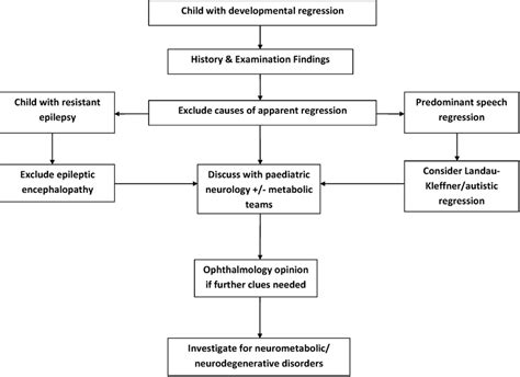 Suggested Basic Algorithm To Guide Diagnostic Decision Making In