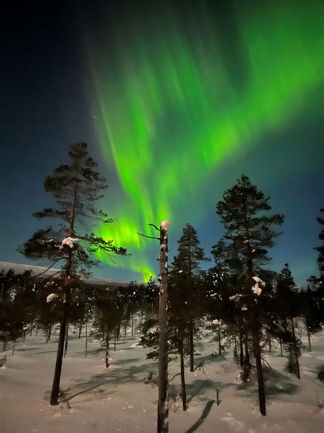 Wildlife & Culture | Scandinavian Mountains Airport