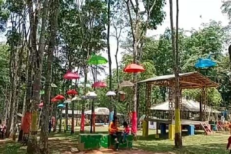 Jasmin Farm Wisata Alam Dan Tempat Camping Yang Cantik Di Cimarga