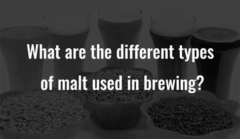 What are the different types of malt used in brewing?