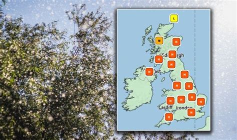 Pollen Count Uk Forecasted High Met Office Pollen Today Hay Fever Symptoms Uk