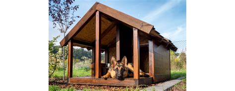 Come Costruire Una Cuccia Per Cani In Legno A Proposito Di Legno