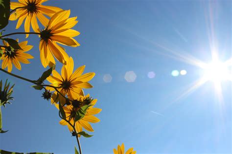 Wetter NÖ Karsamstag bringt starke Oster Sonne in das Land