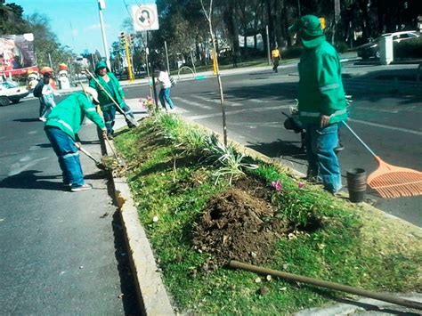 Dan Mantenimiento A áreas Verdes En Toluca