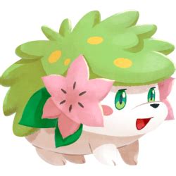 Shaymin Pok Mon Caf Remix