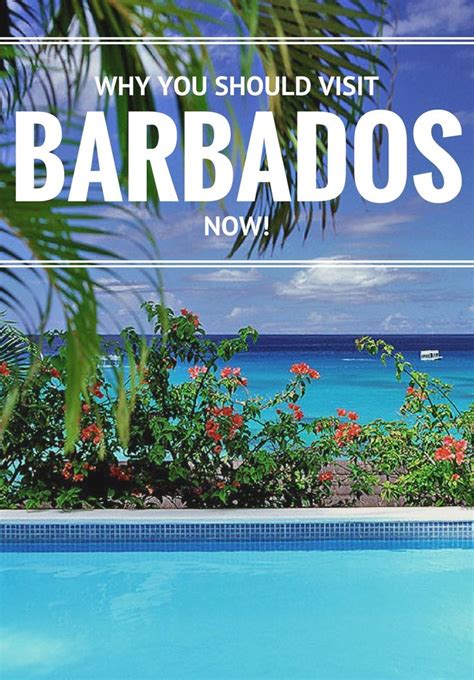 An Outdoor Swimming Pool With The Words Why You Should Visit Barbados Now