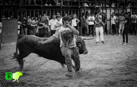 X Toros Capea En La Plaza De Toros De Valdaracete