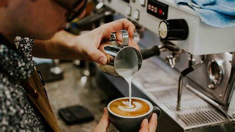 Pengertian Barista Dan Ruang Lingkup Kerjanya Pendidikan