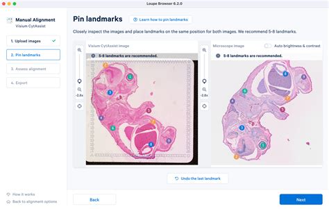 Manual Cytassist Image Alignment Software Spatial Gene Expression