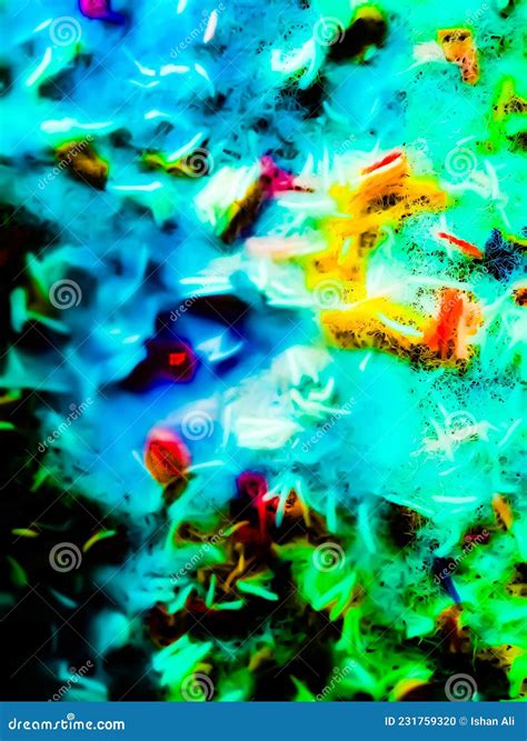 The Surprising Talent Of The Ishan Ali Daughter Is Revealed