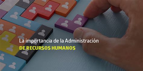 La Importancia De La Administración De Recursos Humanos Blog Utel