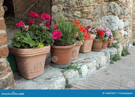 Flowers In Flower Pots In Front Of A Wall In Italy Stock Image Image