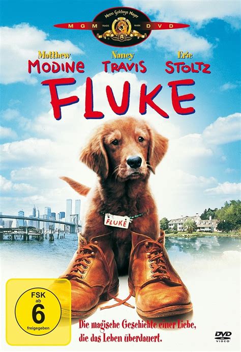 Fluke DVD Oder Blu Ray Leihen VIDEOBUSTER De