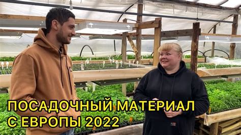 Где я беру новинки черенков вегетативных растений. - YouTube