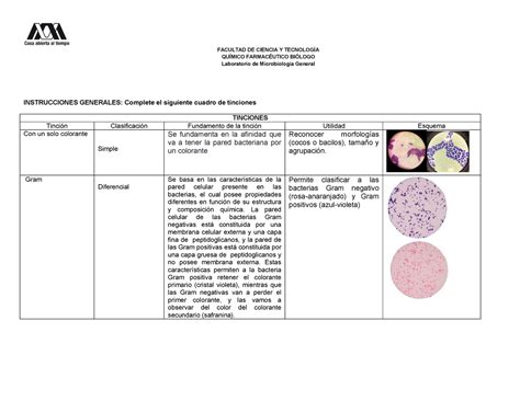 Tinciones Microbiología FACULTAD DE CIENCIA Y TECNOLOGÍA QUÍMICO