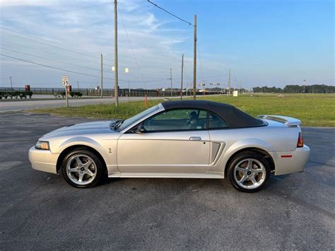 2001 Ford Mustang Cobra for sale #289422 | Motorious