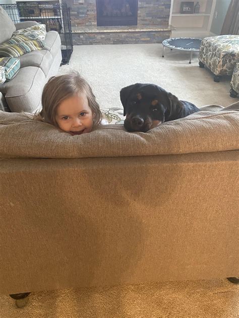 Discover more like Rottweiler: These two have the most insane bond. and
