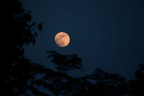 What Does It Mean When The Moon Is Orange Answered