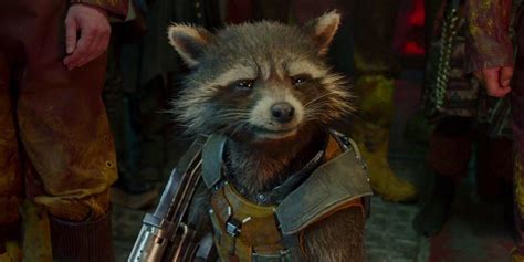 10 Quotes That Prove Rocket Raccoon Is The Saddest Guardian Of The Galaxy