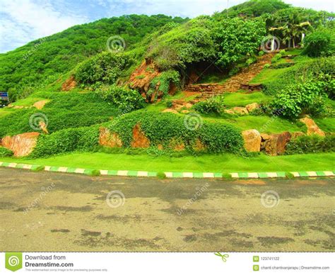 Ubicaciones Frescas Del Parque Del Verde De Beatifull Foto De Archivo