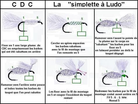 Mouches D Ensemble