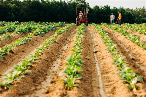 virginia tech virginia cooperative extension receive  million grant