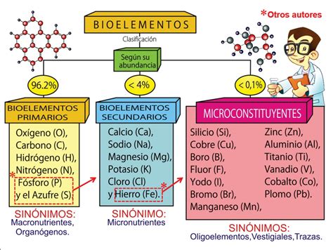 COMPOSICIÓN QUÍMICA DE LOS SERES VIVOS