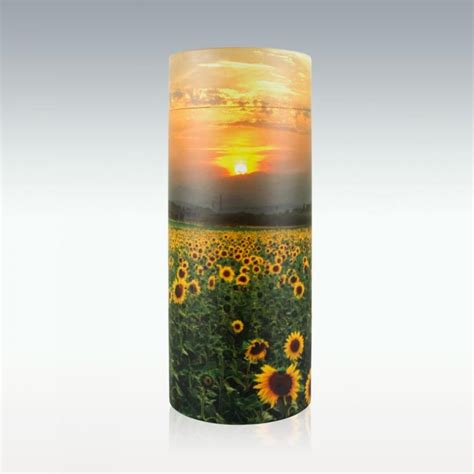 Biodegradable Urns | Today's Choice Cremation in Kelowna, BC