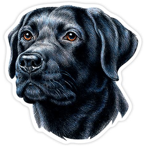 Sticker Dog Labrador Retriever Black