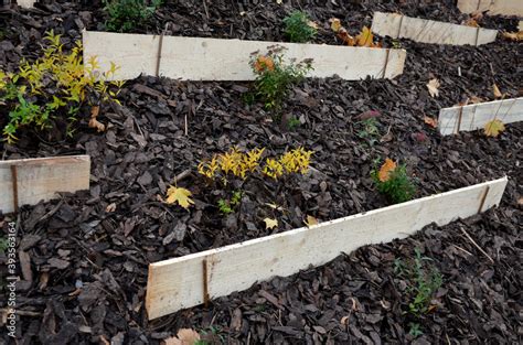 Foto De Slope Stabilization By Vegetation Planting Of Shrubs So That