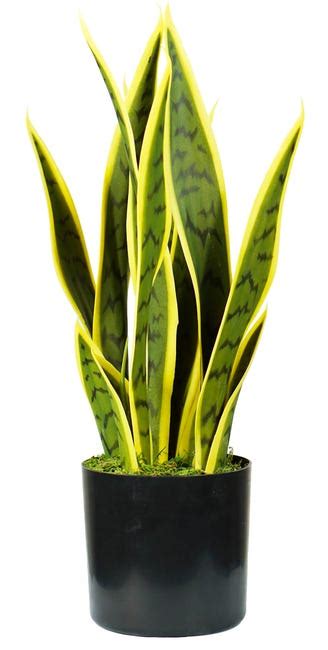 Pianta Artificiale Sansevieria H45 Cm Con Vaso Verde Leroy Merlin