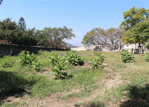 Hermosos Lotes En El Fraccionamiento Real De Tezoyuca Cuernavaca Mor