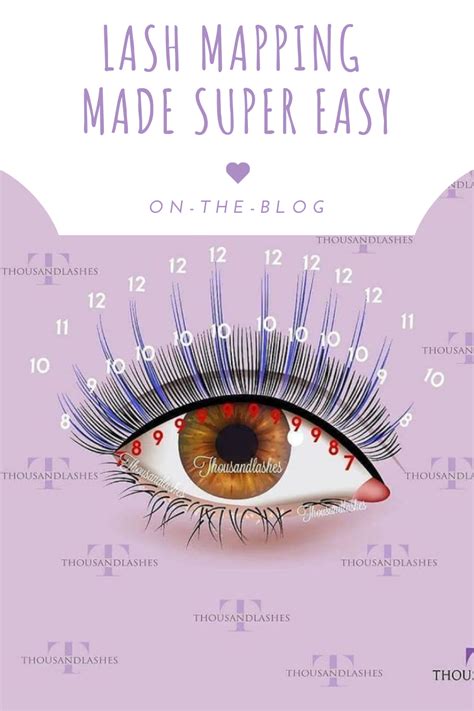 A Comprehensive Guide To Lash Mapping Eyelash Extensions Eyelash