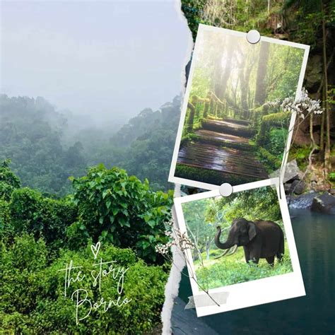 Ultimate Travel Guide Borneo Malaysia - Narcisa Rusu