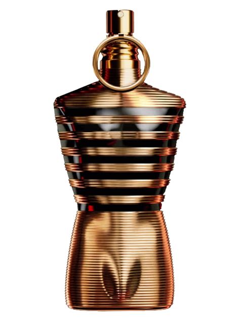 le male elixir jean paul gaultier cologne  fragrance  men