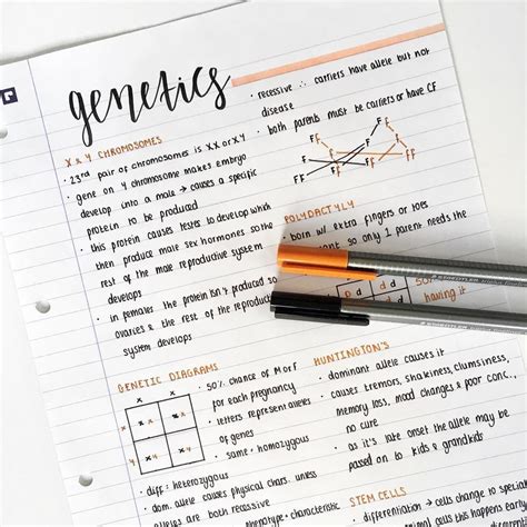 Aesthetic Study Notes Design Ideas - Design Ideas Mania