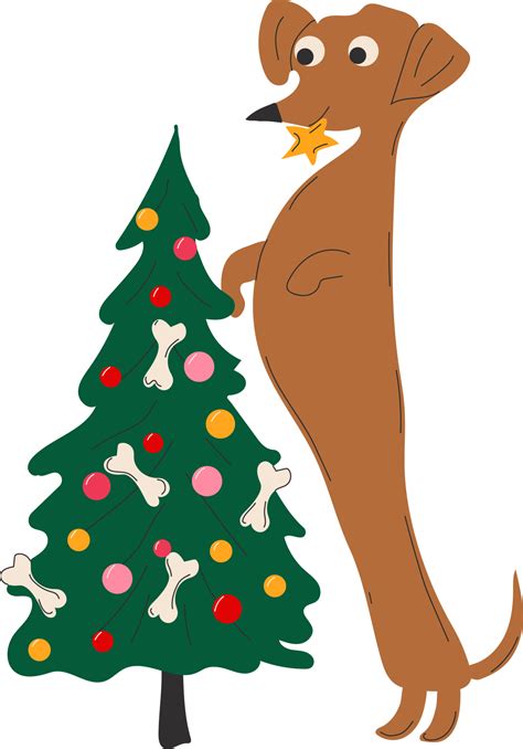 Dachshund Dog Decorates A Christmas Tree On White Background 13760759 Png