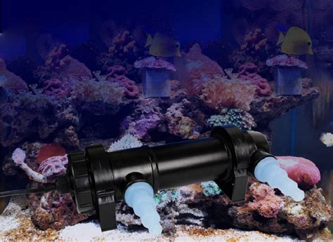 УФ стерилизатор для аквариума:принцип его работы и для чего нужен