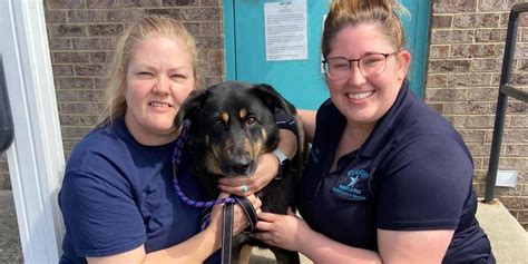 Familia abandonó a su perro en un refugio porque pensaron que era gay