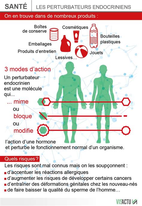 Les Perturbateurs Endocriniens Cibl S Dans Une Campagne De Pr Vention