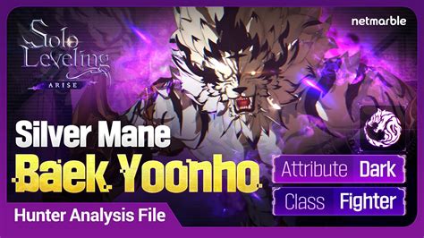 Solo Leveling Arise Hunter Analysis File Silver Mane Baek Yoonho