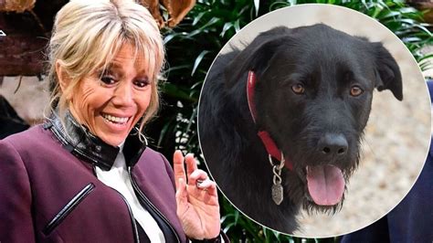 Brigitte Macron Surprise En F Cheuse Position Avec Son Chien Nemo Sur