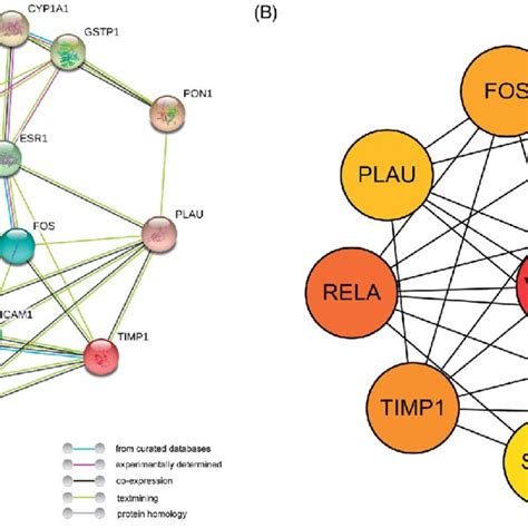 Construction Of Ppi Network And Core Targets A Ppi Network Of