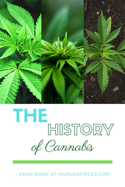 The History of Cannabis | World Of Weed