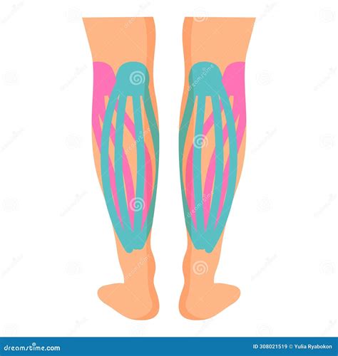 muscle legs drawing 4