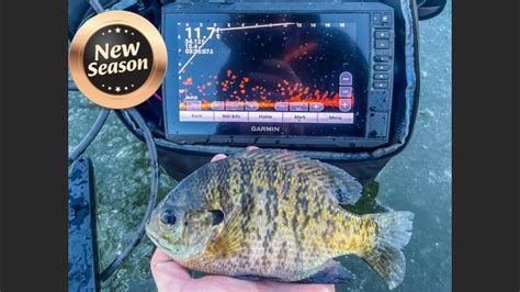 FIRST ICE In Wisconsin With PANOPTIX Panfish Limit YouTube