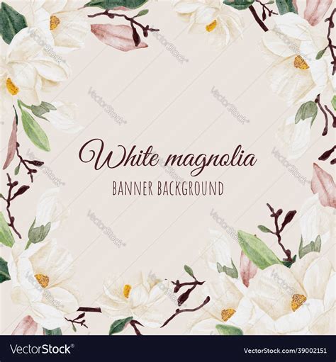 Watercolor White Magnolia Flower Branch Bouquet Vector Image