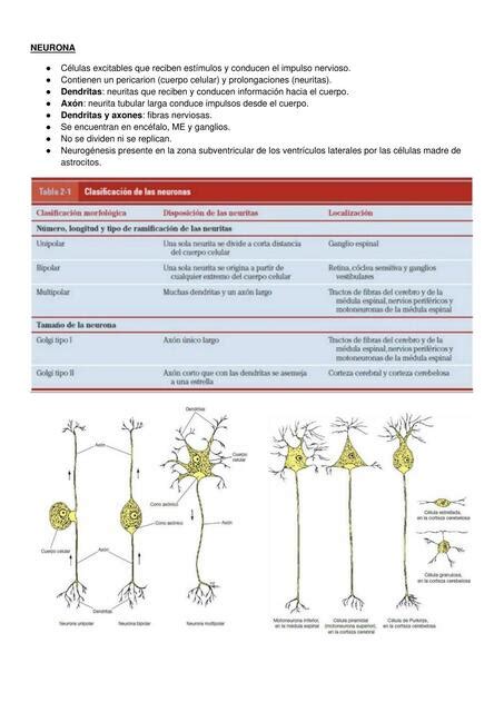 Neuronas Josué Paredes uDocz