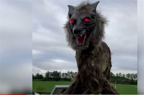 A Japanese Town Is Using Creepy Robotic Wolves To Scare Away Bears